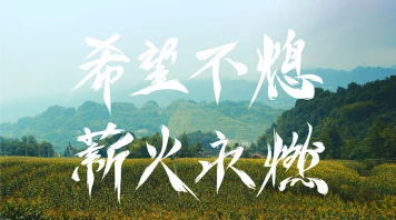 科契尔前线