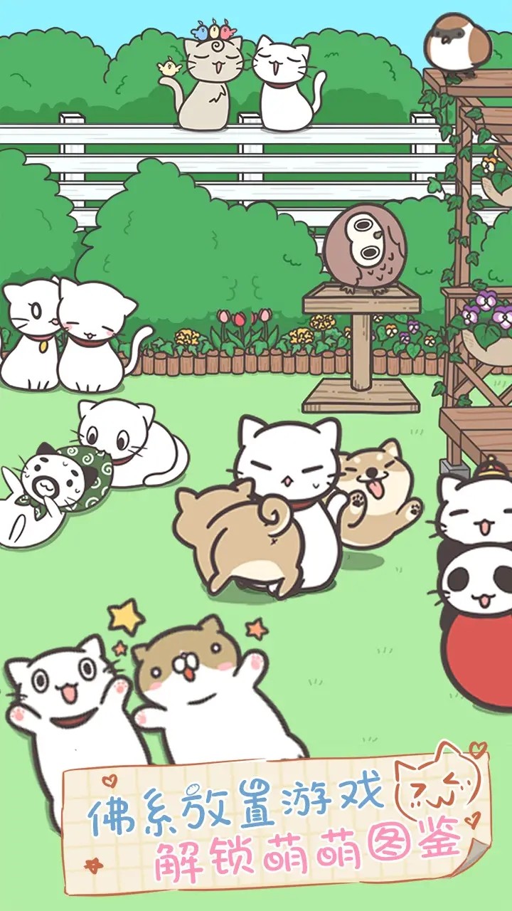 猫咪饲养日常修改版九游