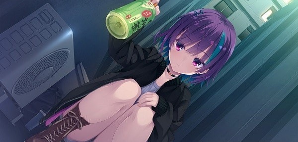 帕奎特修改版