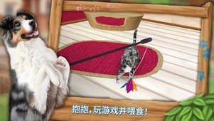 我的动物寄养所修改版