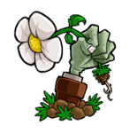 植物大战僵尸花园战争