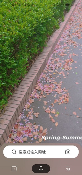 自定义主题