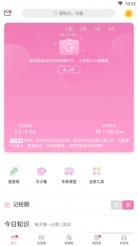 美柚孕期