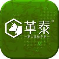 革泰定位器