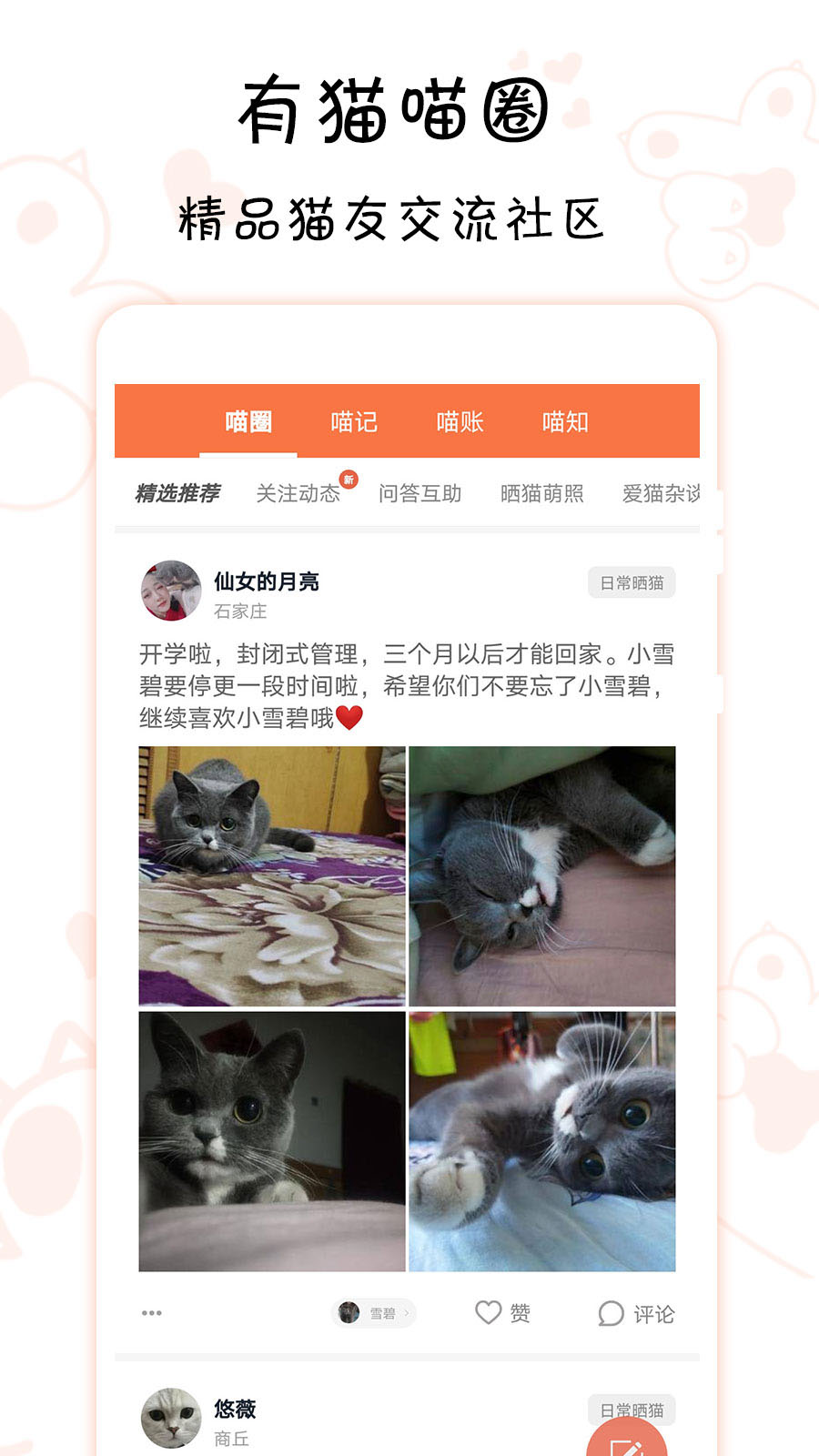 领猫