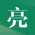亮村安卓版