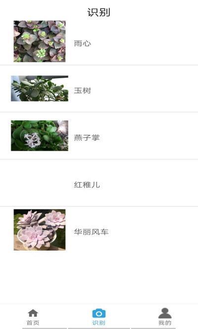 自然生活安卓版