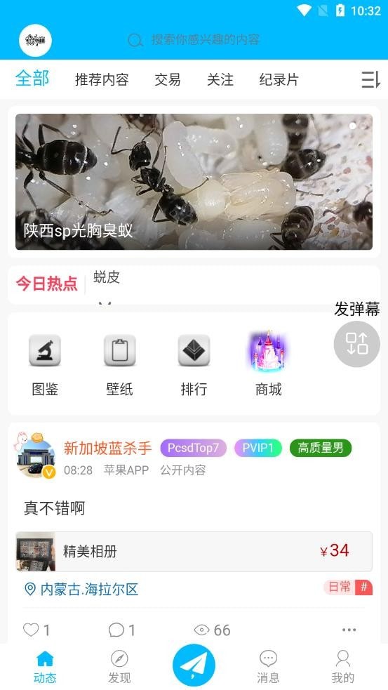 爬宠时代安卓版