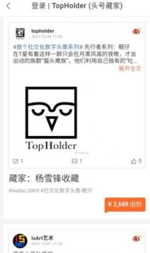 TopHolder软件