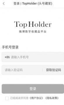 TopHolder软件