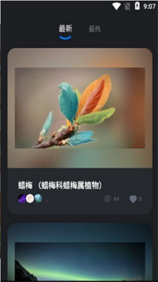 元视觉数字藏品app