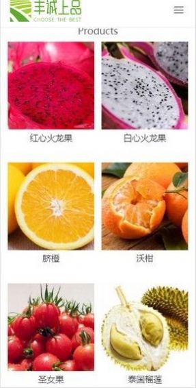 丰诚上品商城安卓版