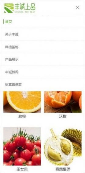 丰诚上品商城安卓版