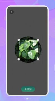 智能识图识物app