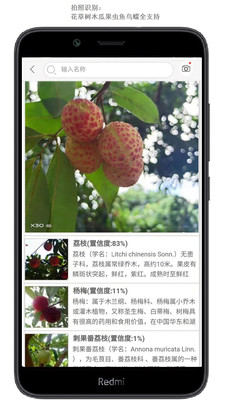 snapseed官方最新版本2021