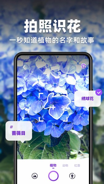 趣扫码