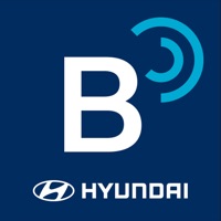 blueLink安卓版