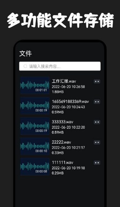 录音器专家