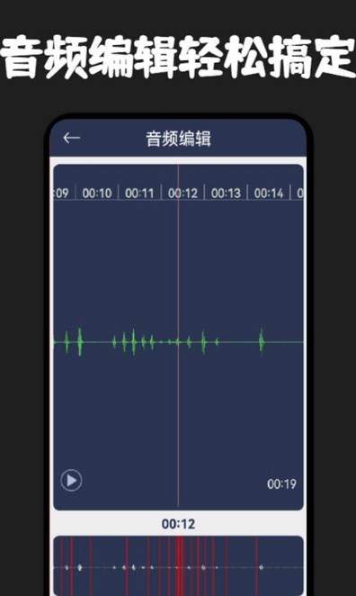 录音器专家