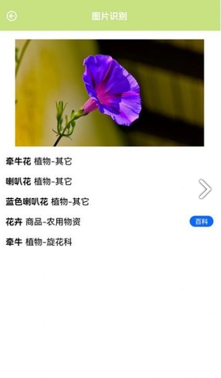 认识植物app