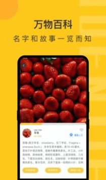 拍照识物精灵最新版