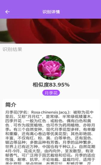 随手拍照识别最新版