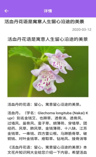 随手拍照识别最新版