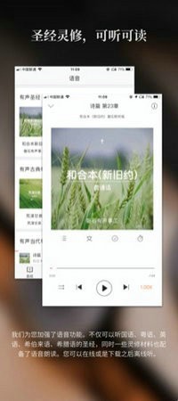 微读圣经