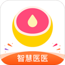 木瓜健康