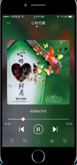 赞美诗官网版