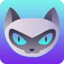 夜猫体育最新版