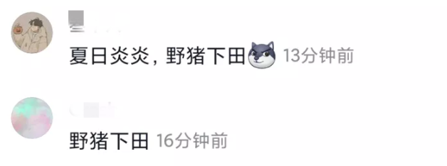 QQ截图20200609141638.png