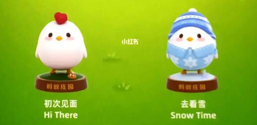 蚂蚁庄园小鸡体重等级有多少级-蚂蚁庄园小鸡体重等级名称