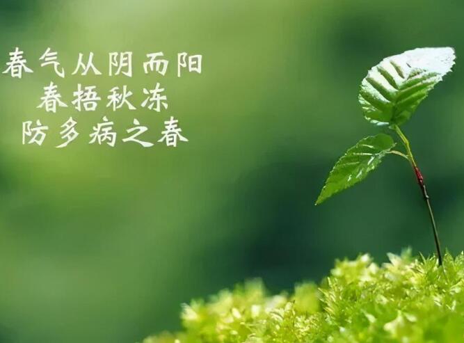 俗话说春不减衣说的是春天的什么 蚂蚁庄园今日答案3.14