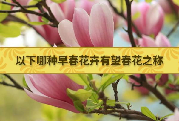攻略首图模板 (1) (5).jpg