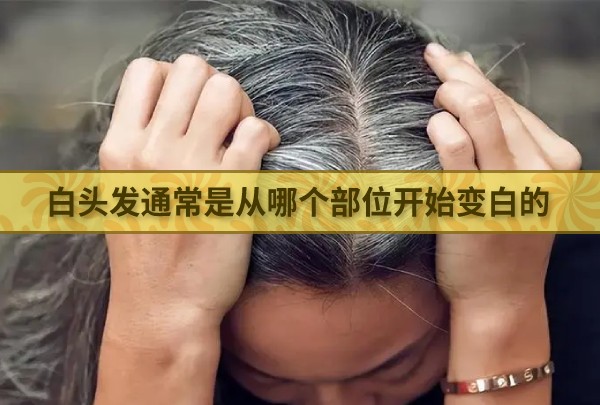 白头发通常是从哪个部位开始变白的 最新蚂蚁庄园今日答案4月17日