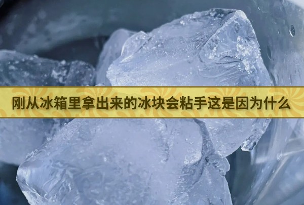 刚从冰箱里拿出来的冰块会粘手这是因为什么 最新蚂蚁庄园今日答案4.23