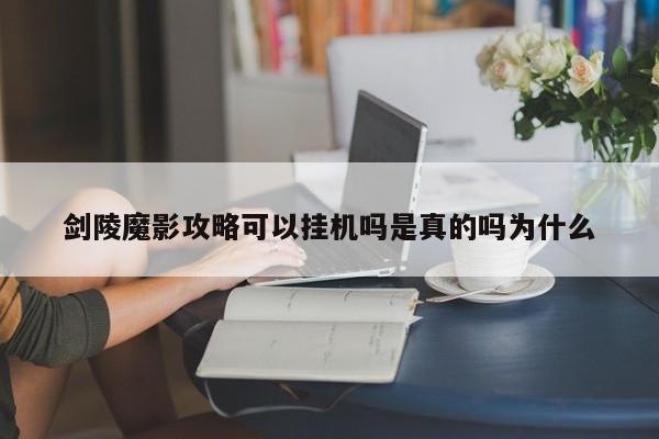剑陵魔影攻略可以挂机吗是真的吗为什么-第1张图片-13636下载