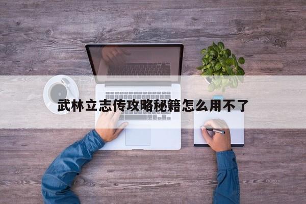 武林立志传攻略秘籍怎么用不了-第1张图片-13636下载
