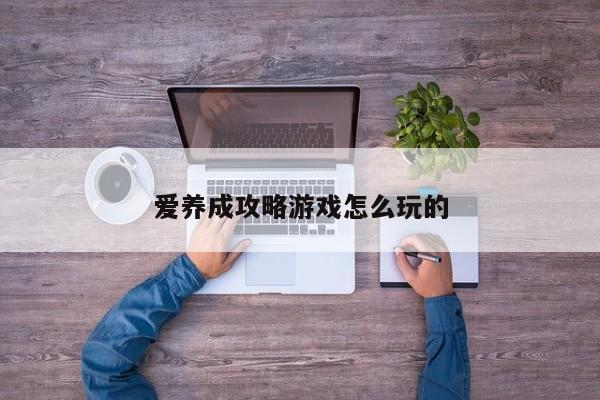 爱养成攻略游戏怎么玩的-第1张图片-13636下载