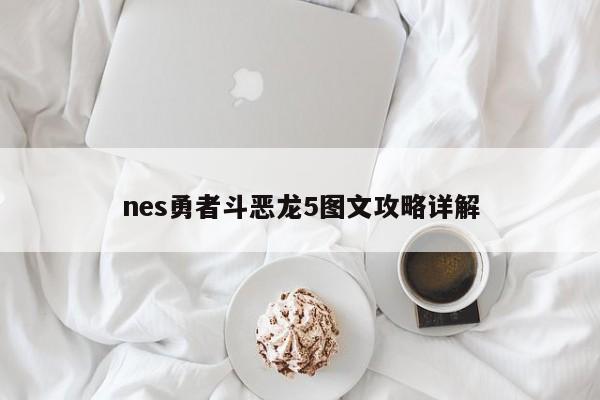 nes勇者斗恶龙5图文攻略详解-第1张图片-13636下载