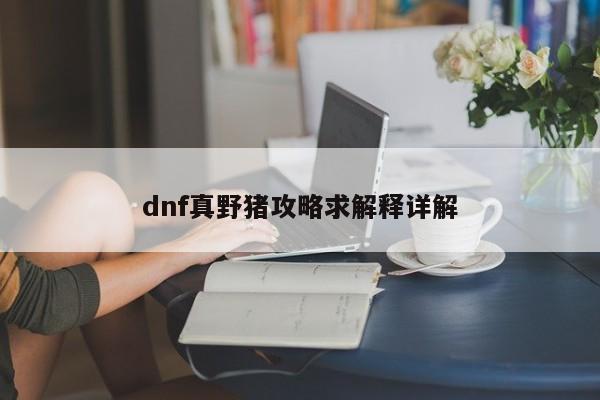 dnf真野猪攻略求解释详解-第1张图片-13636下载