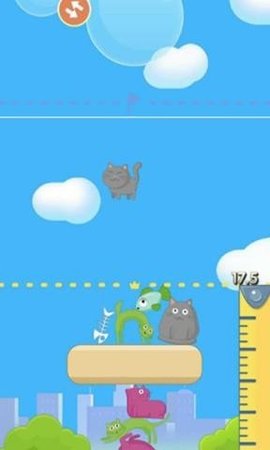 猫咪大厦官方版