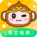 悟空影视大全