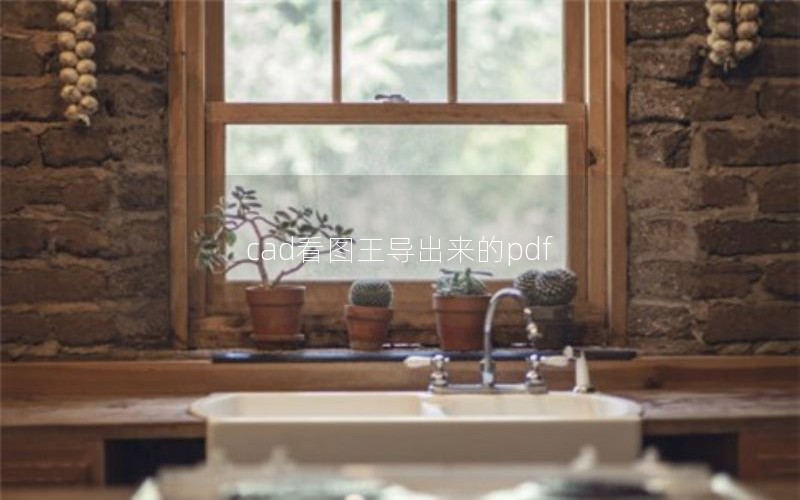 cad看图王导出来的pdf
