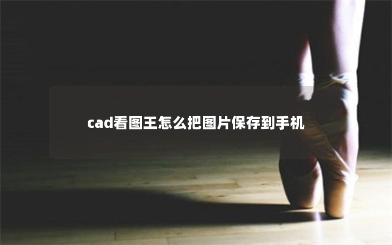 cad看图王怎么把图片保存到手机